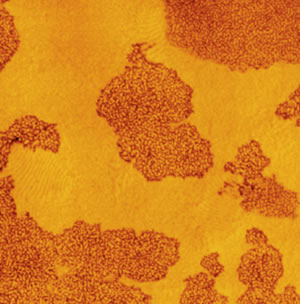 afm polymers