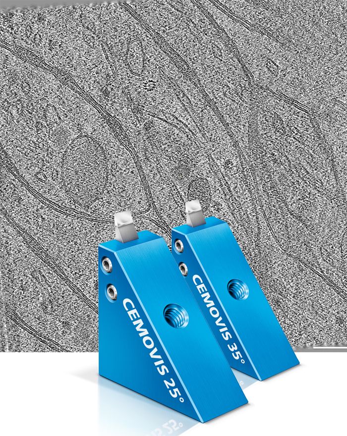 CEMOVIS 25 and 35