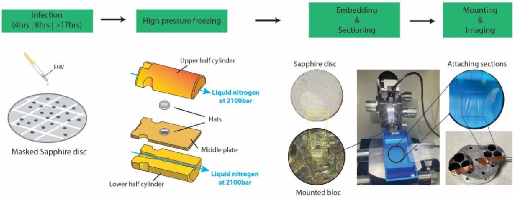 ozaf048.382 figure 1