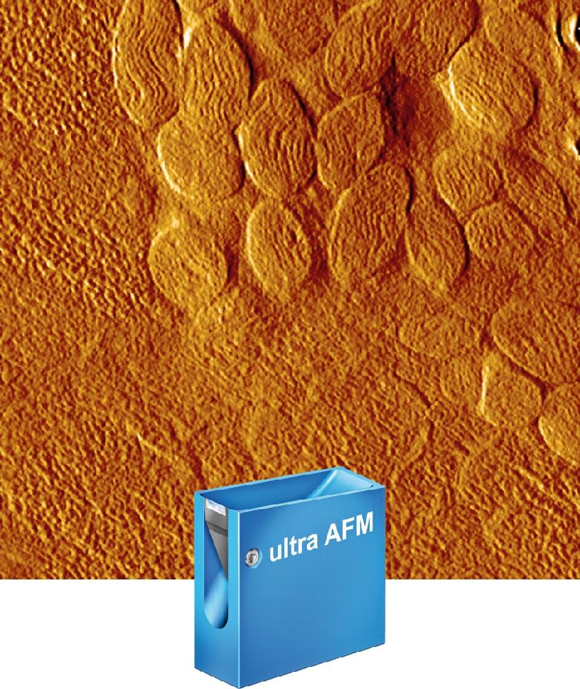 ultra AFM